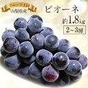 ぶどう 山梨県産 ピオーネ 約1.8kg  フルーツ 果物 くだもの ブドウ 葡萄 期間限定 季節限定