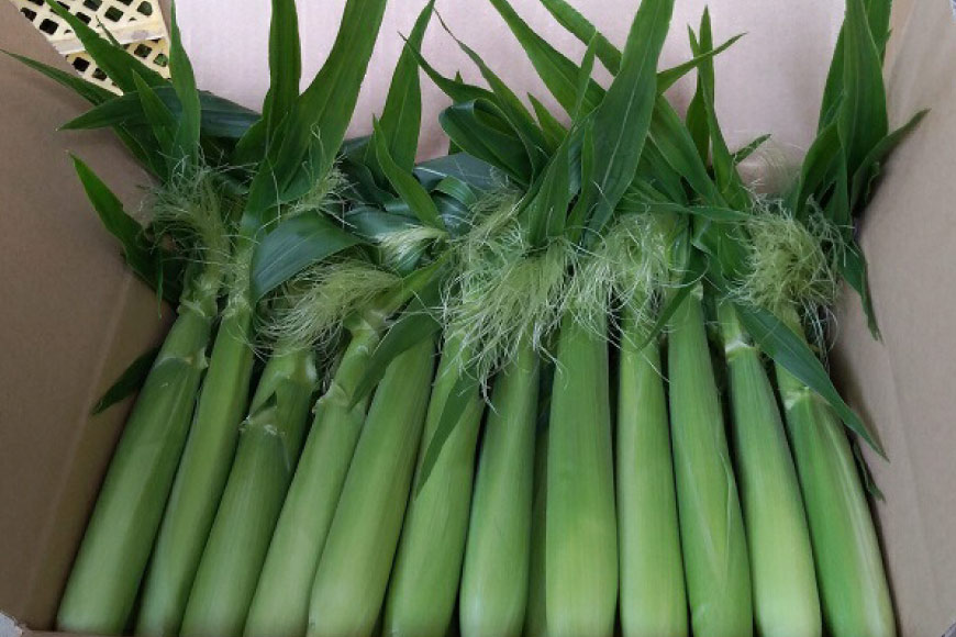 山梨県中央市の画像3