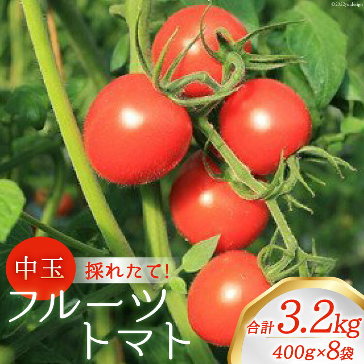 12位! 口コミ数「1件」評価「1」新鮮！中玉フルーツトマト400g×8袋 山梨県中央市より、採れたてを発送 [農事組合法人 た・から 山梨県 中央市 21470737] とま･･･ 