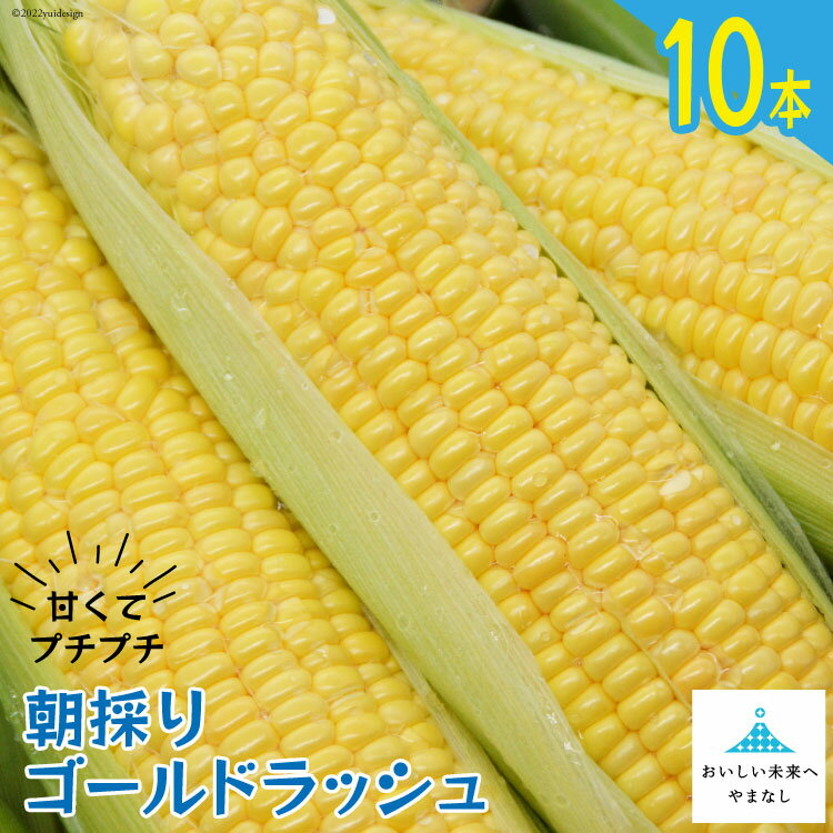 2024年6月前半～6月後半において順次出荷 ※申込締切日：2024年6月13日（決済確認） ※天候不順等により予告なく前後する場合がございます。 ※北海道・沖縄・離島への発送はできません。 名称 朝採り 即出荷 甘くてプチプチ ゴールドラッシュ 10本 内容量 380g以上を10本 産地 山梨県中央市とよとみ地区 配送方法 冷蔵 賞味期限 出荷日より3日（要冷蔵） ※到着後はなるべくお早めにお召し上がりください。 事業者 しゃんと畑 備考 ※画像はイメージです。 ・ふるさと納税よくある質問はこちら ・寄附申込みのキャンセル、返礼品の変更・返品はできません。あらかじめご了承ください。朝採り 即出荷 甘くてプチプチ ゴールドラッシュ 10本 / しゃんと畑 / 山梨県 中央市 ●山梨の気候、大地の恵み、栽培技術が美味しさを育てる 日照時間が長く、一日の寒暖差が大きいことは山梨県ならではの気候です。 これは野菜が美味しく育つ重要な条件のひとつです。 そんな恵まれた条件に甘んじることなく、 種苗メーカーさんに「全国でもトップクラス」と言わせる栽培技術で、丁寧に栽培しています。 ●夜明け前に収穫、おいしさを逃さず冷蔵発送 とうもろこしは、気温が下がる夜に、昼間たっぷりの日光を浴びて作った栄養を糖分に変えます。 その糖分を一番蓄えた状態である夜明け前に収穫し、その日のうちに冷蔵便にて発送いたします。 糖度が高く、メロンと同じくらいの甘さだと言われています。 ●とうもろこしをお届けした先から嬉しいお声が！ 例年、同じとよとみ地域のとうもろこしを知人に送っていた方と縁があり、初めて私どものとうもろこしを送りました。 送って数日後、 「もう1回送ってもらえる？なんとおかわり依頼が来たよ。何年も送っているけど初めてだよ」 と、とても嬉しい言葉をいただきました。 ●生の味をお試しください！ 粒の皮が薄くプチプチっとした食感でジューシーな味。 粒皮が柔らかいので生でお召し上がりいただくこともできます。 生で召し上がるとシャクシャクとした食感です。 生と茹でとの食感の違いもお楽しみください。 熱々に調理された場合、熱さで甘みを感じる味覚が鈍ってしまうため、少し冷めてからお召し上がりいただくと本来の甘さを堪能していただけます。 選別作業には十分な注意を払っておりますが、万が一不具合があった場合、その部分を取り除くなどしてお召し上がりいただければ品質に問題はございません。 ●私たちの想い 当園名「しゃんと畑」の「しゃんと」は「ちゃんとする、しっかりする」という意味です。 名前に恥じないとうもろこしを送りますので、どうぞ安心して贈り物にもご利用くださいませ。 畑には必要なもの以外入れない。安心して召し上がっていただきたい。 そんな想いを対外的に示すため、【やまなしGAP】を取得いたしました！ 認証登録番号：Y21-011 ーやまなしGAPとはー 国の「農業生産工程管理（GAP）の共通基盤に関するガイドライン」に準拠した山梨県独自の基準書にもとづくGAPの取り組みを適切に実施している個人、法人、生産団体等を県が認証し、「安全・安心な農産物の生産」や「環境に配慮した生産」などを実践する産地をPRしていく制度です。 【山梨県共通返礼品】 ※お申し込み前に必ずご確認ください※ ・画像はイメージです。 ・状況により出荷時期が予告なく前後する場合あります。 ・消費期限が大変短いため、北海道や沖縄・離島へ配送希望の方はご注意ください。 ・不在などお受取人様の都合によりお届けができなかった場合は、再送いたしかねます。 　不在日がある場合は、お申し込み時に入力をお願いいたします。 ・申込期日までに決済が完了していない場合は、翌シーズンのお届けになります。 ・万が一、不作などで出荷困難な場合は、当自治体の別のお品（同一寄附金額）をお選びいただくことがございます。