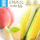 17位! 口コミ数「0件」評価「0」【2回 定期便】 とうもろこし & もも 旬の味覚2種定期便 [ASファーム 山梨県 中央市 21470575] 果物 フルーツ トウモロコ･･･ 