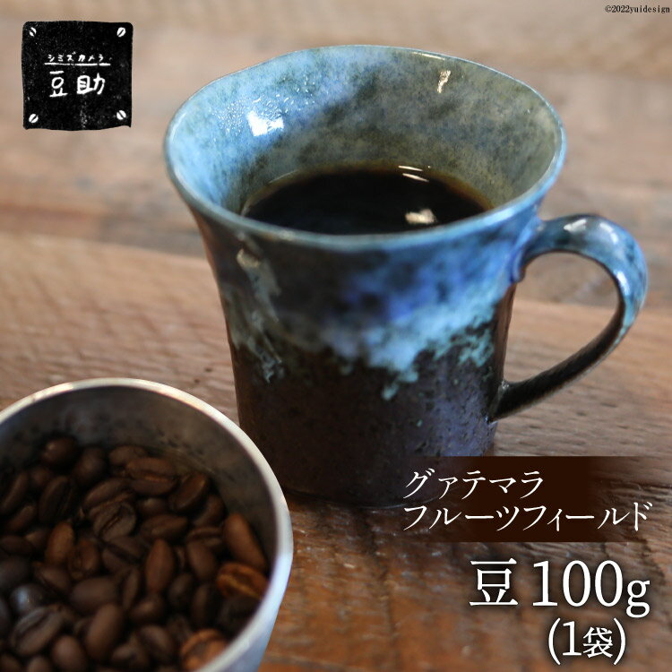 【ふるさと納税】コーヒー 豆 グァテマラフルーツフィールド 100g×1袋 珈琲 / 豆助 / 山梨県 中央市