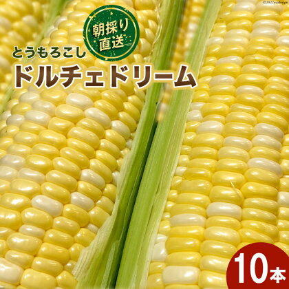 【先行予約】とうもろこし ドルチェドリーム 10本 [マルヨシ園芸 山梨県 中央市 21470552] 朝採り 新鮮 期間限定 トウモロコシ 甘い ジューシー 野菜 産地直送