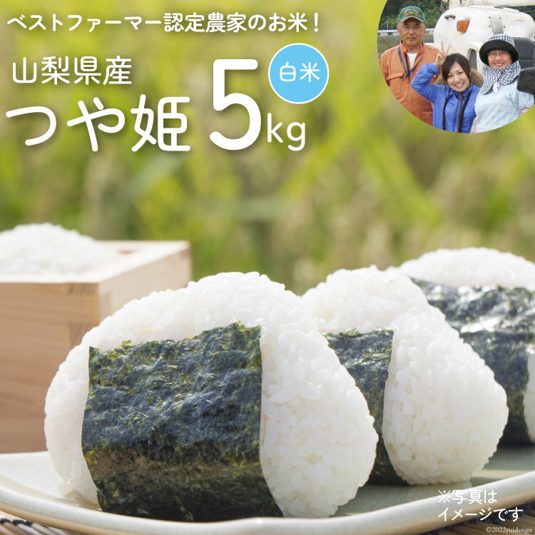 米 つや姫 ( 白米 ) 5kg / 網倉さん家のお米 / 山梨県 中央市 [21470708] 米 ご飯 ごはん こめ コメ 精米