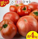 【ふるさと納税】【先行受付】 春作 訳あり トマト 4kg 