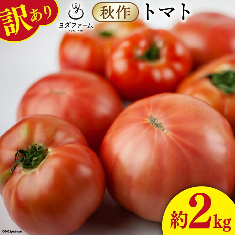 10位! 口コミ数「1件」評価「5」【【先行受付】 秋作 訳あり トマト 2kg [ヨダファーム 山梨県 中央市 21470615] 規格外 家庭用 不揃い 野菜 とまと 山梨･･･ 