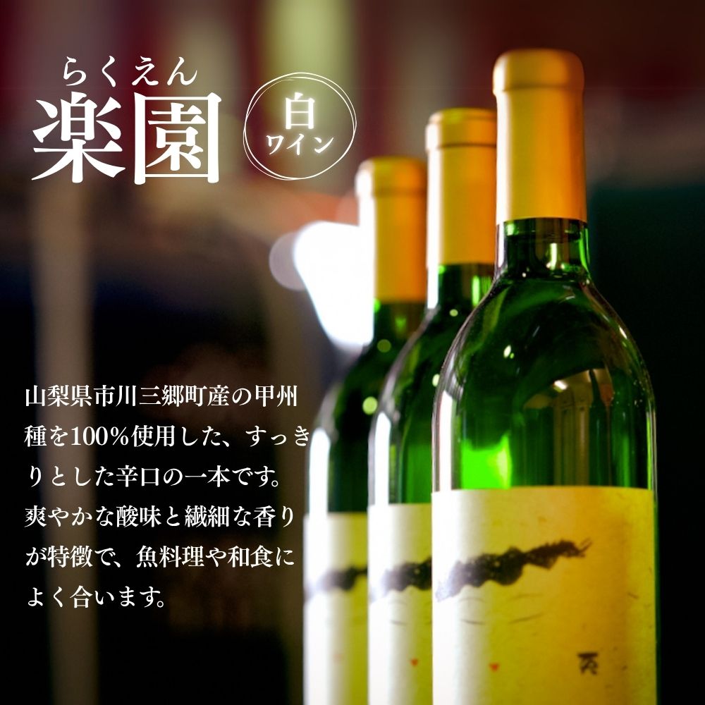 【ふるさと納税】楽園ワイン赤・白2本セット 楽園葡萄酒醸造場 [5839-0047]