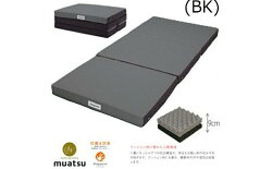 【ふるさと納税】[5839-1401]【昭和西川】ムアツふとん　シングルサイズ　2フォーム110　【寝具・敷布団・敷き布団・日用品・雑貨・日用品】　お届け：入金から約1か月前後で順次発送予定･･･ 画像1