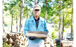 【ふるさと納税】[5839-1574]【山梨県市川三郷町産】キャンプ・アウトレットに広葉樹乾燥薪10kg　【・・雑貨・日用品】 画像2