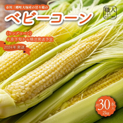 市川三郷町大塚産の甘々娘のベビーコーン 2kg（約30本入り）ヤングコーン　Kai Sweet Farm[5839-1009]　【野菜・とうもろこし・野菜・野菜セット】　お届け：2024年4月下旬か順次発送予定