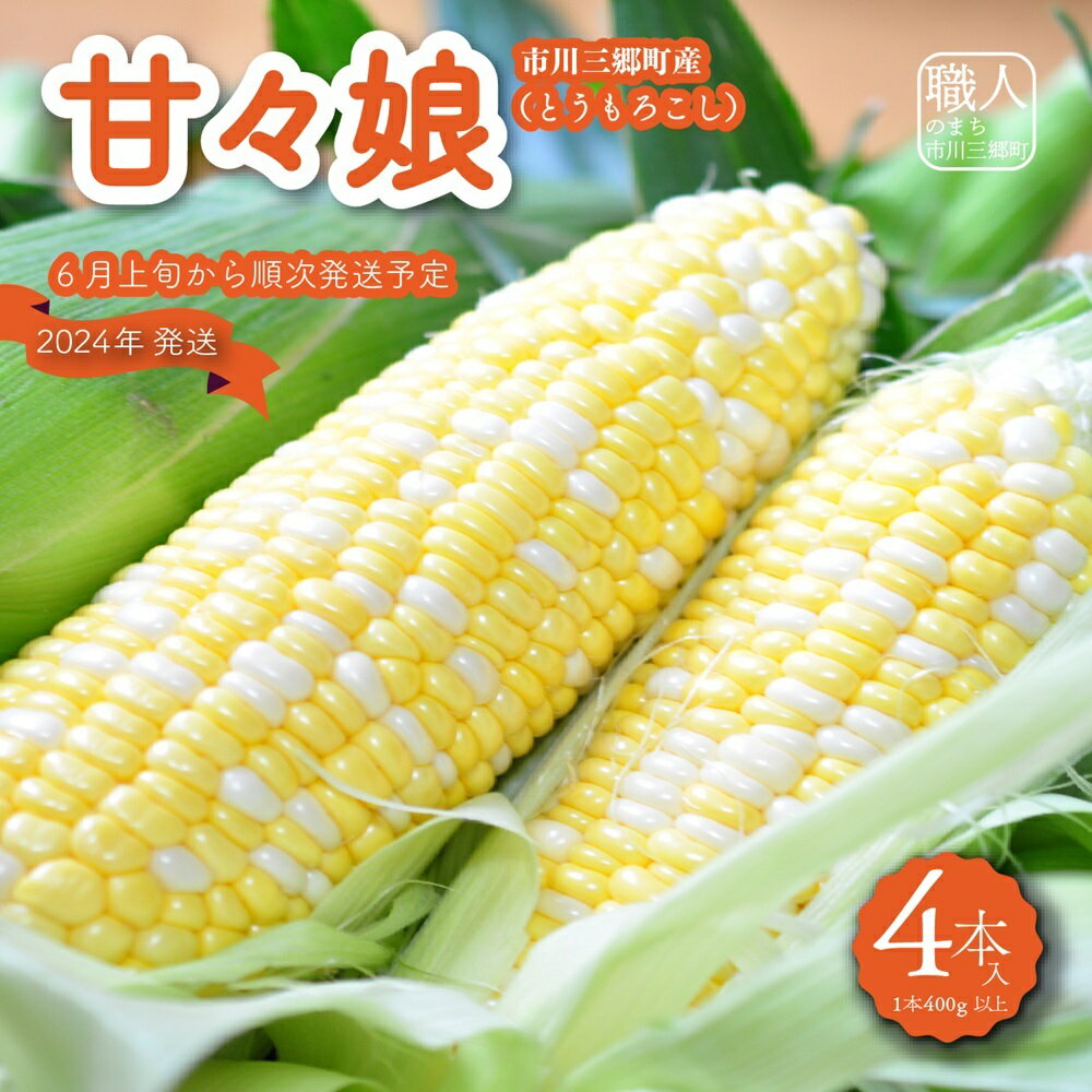 【ふるさと納税】市川三郷町大塚産の甘々娘（とうもろこし）4本入り　Kai Sweet Farm[5839-1010]　【野菜・とうもろこし・野菜・野菜セット】　お届け：2024年6月上旬から順次発送予定