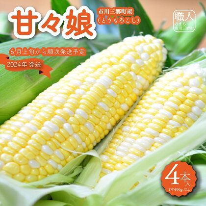 市川三郷町大塚産の甘々娘（とうもろこし）4本入り　Kai Sweet Farm[5839-1010]　【野菜・とうもろこし・野菜・野菜セット】　お届け：2024年6月上旬から順次発送予定