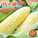 名称とうもろこし（甘々娘）内容量1本400g以上、12本入り産地山梨県事業者Kai Sweet Farm配送方法冷蔵配送お届け時期2024年6月上旬から順次発送予定 ・ふるさと納税よくある質問はこちら ・寄附申込みのキャンセル、返礼品の変更・返品はできません。あらかじめご了承ください。【ふるさと納税】市川三郷町大塚産の甘々娘（とうもろこし）12本入り　Kai Sweet Farm[5839-1011]　【野菜・とうもろこし・野菜・野菜セット】　お届け：2024年6月上旬から順次発送予定 市川三郷町特産の糖度が15度以上にもなるスイートコーン”甘々娘”。 粒が柔らかいのが特徴で、まるでフルーツのような味わい。甘さがたっぷり詰まっています。 食味の低下が遅いため、お取り寄せに適した品種です。 栽培が難しく、全国でもあまり生産されていない希少なとうもろこし。 ぜひ一度ご賞味ください。 ※画像はイメージです。 ※お申込限度数に達した場合は、予告なく締切日前にお申込みを締切る場合がございますので、あらかじめご了承ください。 ※出荷時期になりましたら、順次発送いたします。 ！！必ずお読みください！！ ★以下の注意事項を必ずお読みいただき、その旨ご理解、ご了承の上でお申込いただきますよう、よろしくお願いいたします。 ・先⾏予約の返礼品となります。2024年6⽉上旬から順次発送の⼿配を⾏います。 ・配送⽇指定はお受けしておりません。⻑期不在のご予定や住所変更の予定がある場合、配送時間または曜⽇希望等がある場合は要望欄にご記⼊ください。 ・のし・包装・名⼊れのご希望はお受けしておりません。 ・お受け取り後はすぐに中⾝をご確認いただき、お早目にお召し上がりください。 ・天候や収穫状況によりお届けが前後することがあります。台風等の⾃然災害などの影響で万が⼀⼿配ができないときは別途ご連絡させていただく場合がございます。 ・天候や収穫等の状況によりご希望のお品をご⽤意できない場合であっても、税⾦の控除等に影響の無いよう、代替品をご⽤意いたします。 ・お礼の品の発送には万全を期しておりますが、輸送中の揺れや扱いなどで万が⼀ひどい傷み等があった場合は、写真・画像を添付の上お早めにご連絡ください。尚、お時間が過ぎてからの対応はいたしかねます。 【写真・画像送信先】 市川三郷町ふるさと納税サポート室　ichikawamisato@furusato-assist.com 寄附金の用途について 誇れるまち 賑わうまち 安全・安心なまち 繋がるまち 市川三郷町長におまかせ 受領証明書及びワンストップ特例申請書のお届けについて 入金確認後、注文内容確認画面の【注文者情報】に記載の住所にお送りいたします。発送の時期は、入金確認後2～3週間程度を目途に、お礼の特産品とは別にお送りいたします。