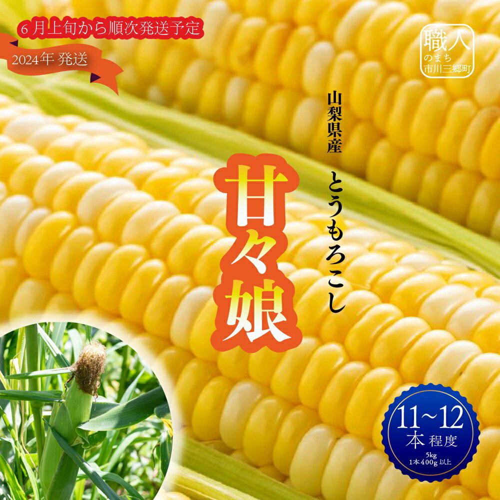 [先行予約]2024年6月上旬から発送 山梨県産:甘々娘(とうもろこし)5kg箱 塩島農園[5839-1221] [・・野菜・とうもろこし] お届け:2024年6月上旬より順次発送予定