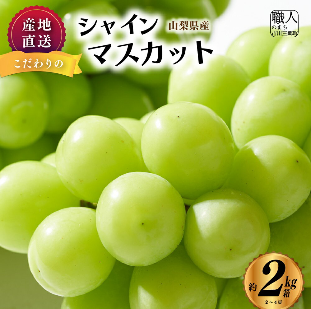 【ふるさと納税】【産地直送】山梨県産：シャインマスカット 2kg箱 ないとうぶどうファーム [5839-1222]　【果物類・ぶどう・マスカット・フルーツ・・】　お届け：2024年9月下旬から順次発送予定