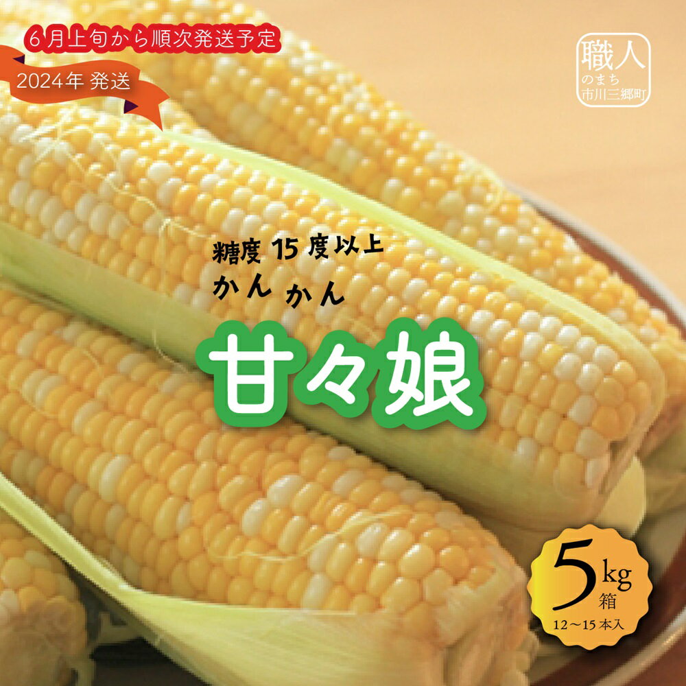 【ふるさと納税】絶品！市川三郷町産甘々娘　2LA　12本入り　5kg箱　2024年6月上旬から発送　横田農園[5839-1335]のサムネイル