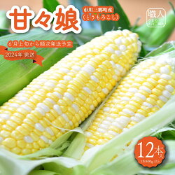 【ふるさと納税】[5839-1011]市川三郷町大塚産の甘々娘（とうもろこし）12本入り　Kai Sweet Farm　【野菜・とうもろこし・野菜・野菜セット】　お届け：6月上旬から7月上旬に順次発送予定　※天候等により前後する場合がございます。･･･ 画像1