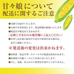 【ふるさと納税】【先行予約】2024年6月上旬から発送　絶品！市川三郷町産甘々娘（とうもろこし）12本入り　5kg箱　薬袋和幸農園 [5839-1459]　【・・野菜・とうもろこし】　お届け：2024年6月上旬から7月上旬に順次発送予定･･･ 画像1