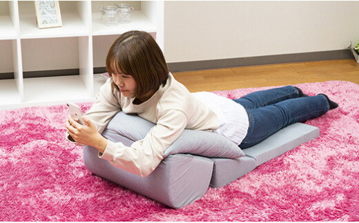 【ふるさと納税】TVまくら（選べる2色）[5839-1807]　　【インテリア・】　お届け：入金確認後、一ヵ月前後で発送予定