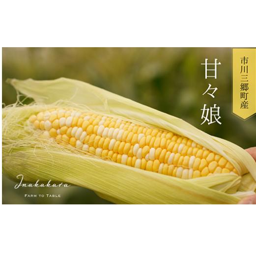 【ふるさと納税】2024年発送！【山梨県市川三郷町産】Inakakara　プレミアム「甘々娘」6本入[5839-1817] 　【・野菜・とうもろこし】　お届け：2024年6月上旬から7月上旬に順次発送予定