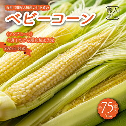 【ふるさと納税】[5839-1868]市川三郷町大塚産の甘々娘のベビーコーン 5kg（約75本入り）ヤングコーン　Kai Sweet Farm　【野菜・とうもろこし】　お届け：4月下旬より順次発送予定･･･ 画像1