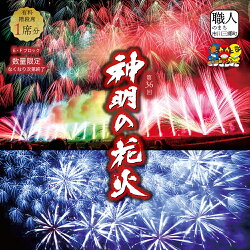 【ふるさと納税】[5839-0170]【一流花火師の選ぶ日本一の花火大会】神明の花火大会　有料観覧席(階段席)チケット【500席限定】　【チケット】　お届け：7月中下旬ごろ、チケットの発送予定･･･ 画像1