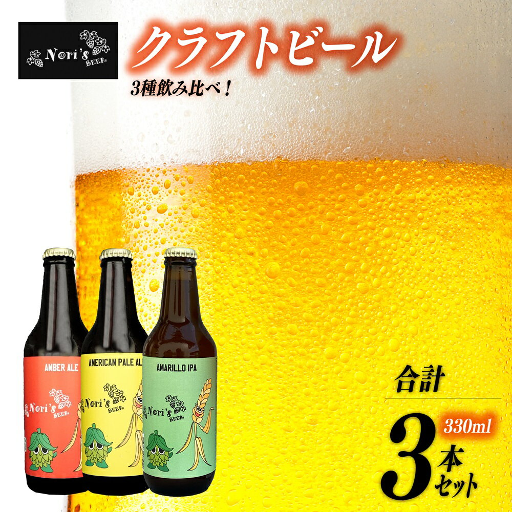 【ふるさと納税】[5839-1928]Nori`s Beer　クラフトビール3本セット　【お酒・ビール】　お届け：入金確認後から1か月前後