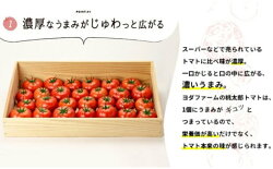 【ふるさと納税】【先行予約】2024年発送　市川三郷町の旬をお届け！野菜果物定期便[5839-1981]　【果物類・フルーツ・野菜・野菜セット】　お届け：2024年5月から順次発送予定･･･ 画像2