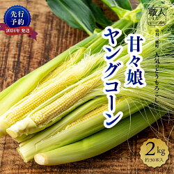 【ふるさと納税】【先行予約】2024年発送！ヤングコーン　2kg　約30本入り　渡邉農園[5839-1995]　【野菜・野菜セット・野菜・とうもろこし】　お届け：2024年4月下旬･･･ 画像1