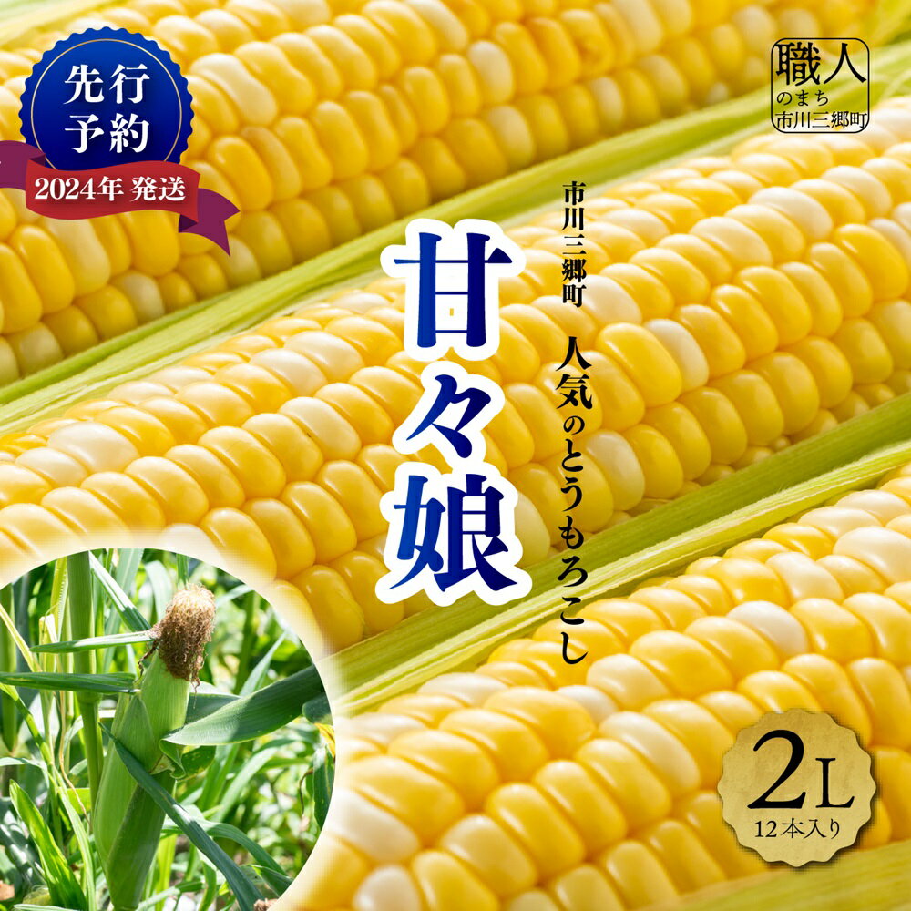 【ふるさと納税】【先行予約】2024年発送！甘々娘　2Lサイズ　12本入り　渡邉農園[5839-1997]　【野菜・野菜セット・野菜・とうもろこし】　お届け：2024年6月上旬から順次発送予定･･･