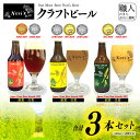 【ふるさと納税】Nori`s Beer(ノリズビア) クラフトビール3本セット 「Japan Great Beer Awards 2025」銀賞受賞 「Worl...