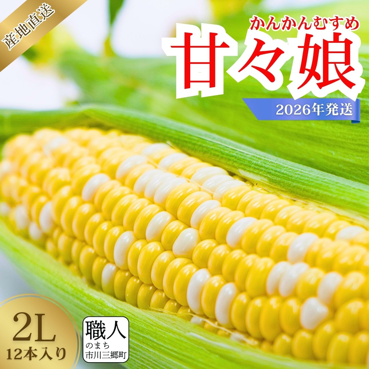 とうもろこし 甘々娘 市川三郷町 2026年 6月上旬 発送 産地直送 2Lサイズ 12本入り Dragon farm 山梨県 市川三郷町 人気 スイートコーン コーン トウモロコシ 朝採り 先行 先行予約 甘い 野菜 夏野菜 BBQ