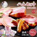 【ふるさと納税】早川町ハム 工房セット