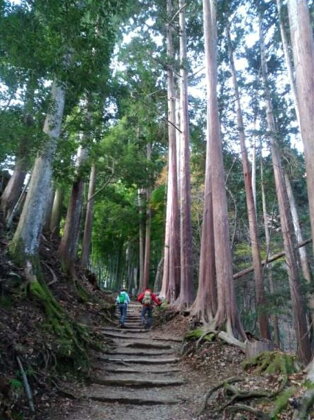 囲炉裏付き古民家に泊まり、登山ガイドと霊峰・七面山に登ろう！（宿泊体験チケット2名様分）【 旅行 体験・チケット 山梨県 早川町 】