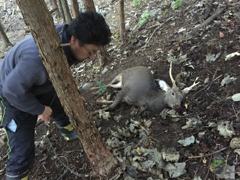 【ふるさと納税】囲炉裏付き古民家に泊まり、猟師の罠猟に同行しよう！（ファミリー向け）【 旅行 体験・チケット 山梨県 早川町 】