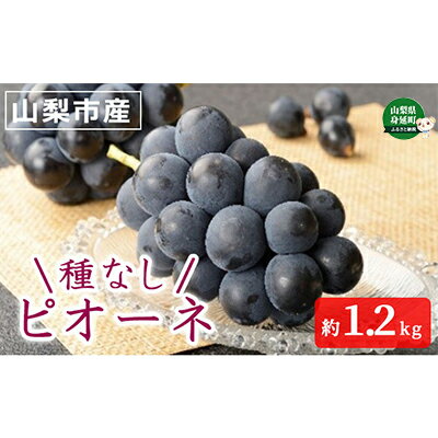 【ふるさと納税】山梨県産　種無しピオーネ　2房　約1.2kg　【果物・ぶどう・フルーツ・種無し・ピオーネ・紫黒色・人気品種】　お届け：2022年8月下旬〜9月中旬･･･