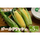 【ふるさと納税】山梨県産　とうもろこし(ゴールドラッシュ) 12本入り　約5kg　【野菜・とうもろこし・ゴールドラッシュ・産地直送・新鮮・甘み・ボリューム・12本】　お届け：2022年6月中旬〜6月下旬･･･