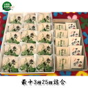 【ふるさと納税】最中3種25個詰合 かくし最中(5個)下部の宿(5個)・兜最中(15個) お菓子 和菓子 もなか