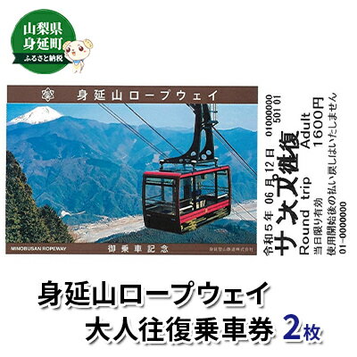 【ふるさと納税】身延山ロープウェイ大人往復乗車券2枚　【チケット・入場券・優待券・ロープウェイ大...