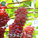 【ふるさと納税】デラウェア約2kg 果物類 フルーツ 果物 ブドウ デザート おやつ 食後 山梨県産 お届け:2025年7月下旬〜8月中旬