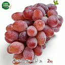 【ふるさと納税】サニールージュ約2kg 果物類 ブドウ 葡萄 フルーツ 果物 デザート おやつ 食後 山梨県産 お届け:2025年8月上旬〜下旬