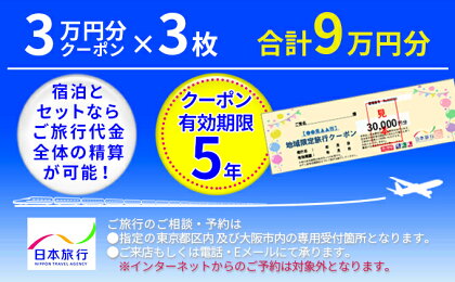 日本旅行　地域限定旅行クーポン【90,000円分】　【 ホテル 宿泊券 チケット 旅行 旅 記念日 】