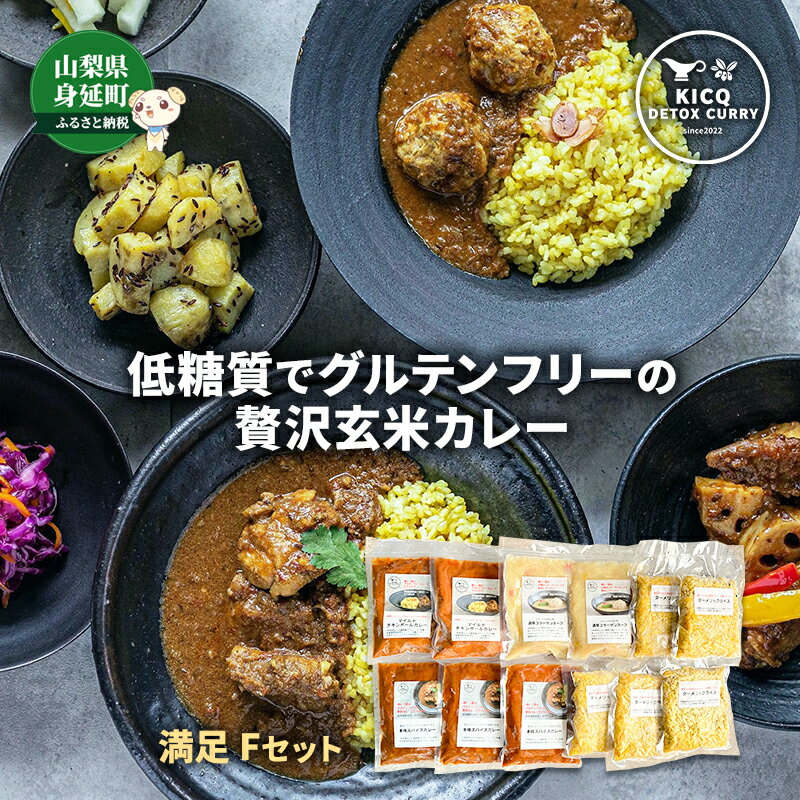 スパイスとマイルドの満足Fセット 2種5食+スープ2食 チキンカレー ターメリックライス コラーゲンスープ グルテンフリー