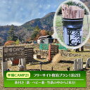 【ふるさと納税】宿泊プラン フリーサイト 薪付 山梨県 キャンプ キャンプ場 利用券 宿泊券 アウトドア