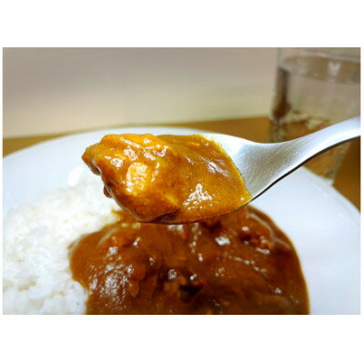 【ふるさと納税】「肉屋の作ったまかないカレー」200g×6人前　山梨ブランド肉「甲州牛」「富士桜ポーク」【1316463】