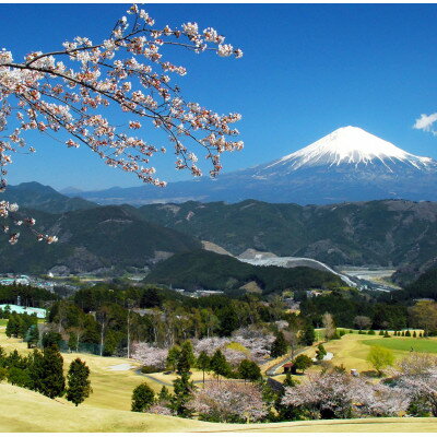 山梨県南部町の画像3