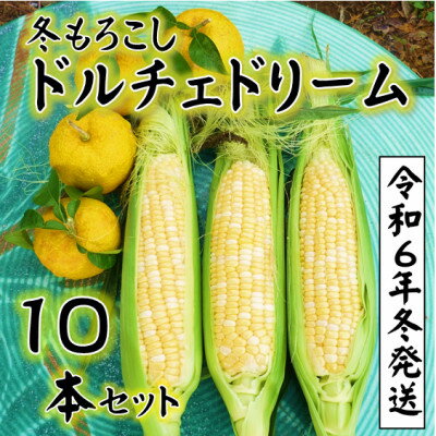 1位! 口コミ数「0件」評価「0」【令和6年11月～発送分受付】朝採り「冬もろこし」!「ドルチェドリーム」10本セット(約5キロ)【配送不可地域：離島・北海道・沖縄県・中国・･･･ 