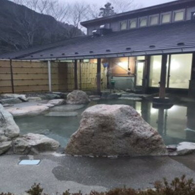 【ふるさと納税】山梨県南部町秘湯「奥山温泉」宿泊券(1泊2食付き)3名様　10畳【1619599】 f193666-nanbu-10000123 山梨県南部町 サンプル画像3