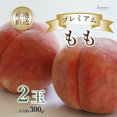 Inakakara プレミアム桃2玉[配送不可地域:離島・沖縄県]