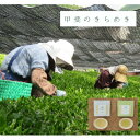 【ふるさと納税】令和7年産【新茶】プレミアムリーフティー「甲斐のきらめき」(白鳥・天子)【1588783】